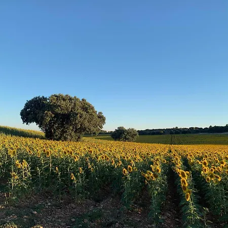 Casa Herreros - Rural Con Pista De Padel Rada de Haro